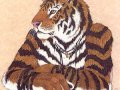 kaa1.jpg